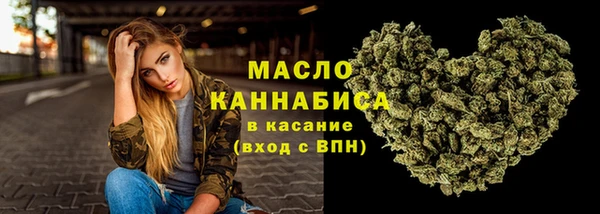 гидра Волоколамск