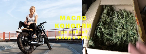 гидра Волоколамск