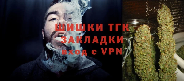 гидра Волоколамск