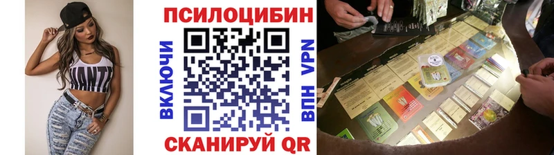 Галлюциногенные грибы Psilocybine cubensis  Ессентуки 